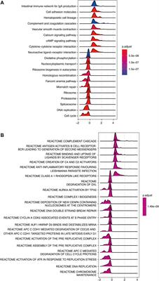 Low expression of INMT is associated with poor prognosis but favorable immunotherapy response in lung adenocarcinoma